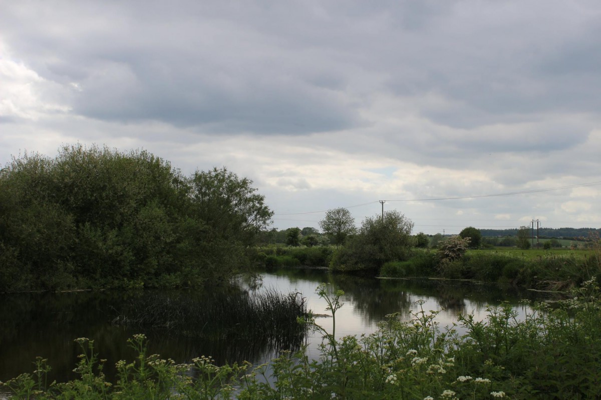 River Stour Test Valley Angling Club